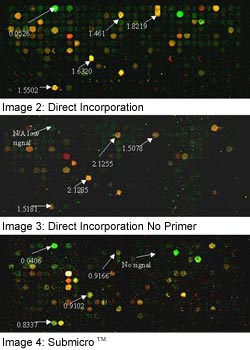 (Direct Incorporation), (Direct Incorporation No Primer), (Submicro)