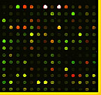 Array 900 Photo