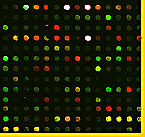 Array 900 Photo