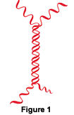 monomer